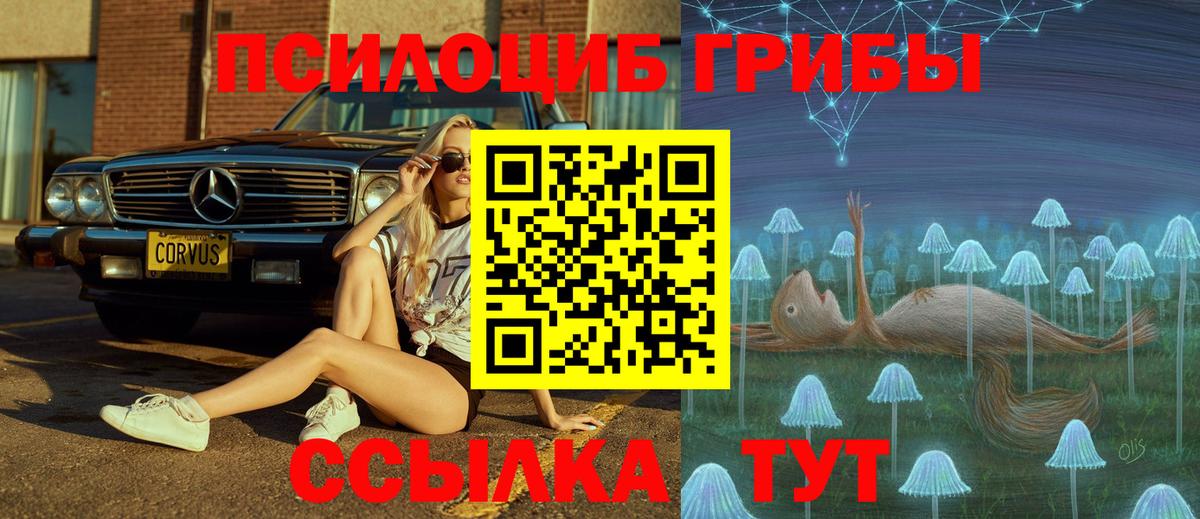 Псилоцибиновые грибы MAGIC MUSHROOMS Югорск